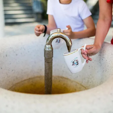 Luxury & Wellness Valaska Hotell 4*